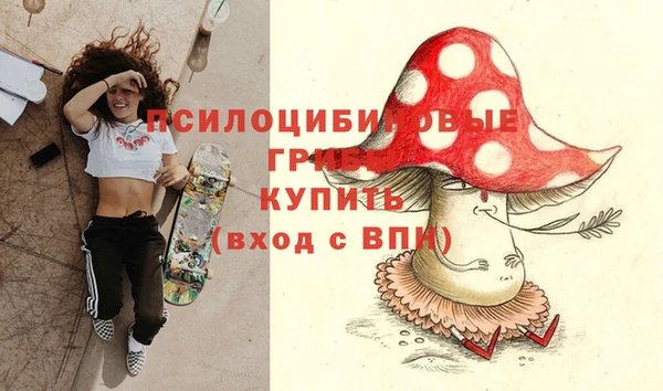 а пвп мука Новозыбков