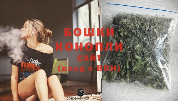 гидра Нея
