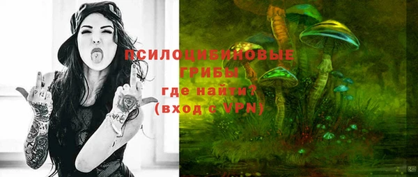 тгк Нефтекумск
