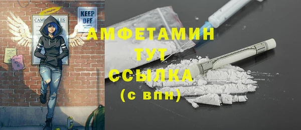 гидра Нея