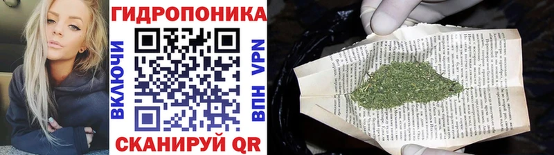 продажа наркотиков  Полярные Зори  Шишки марихуана марихуана 